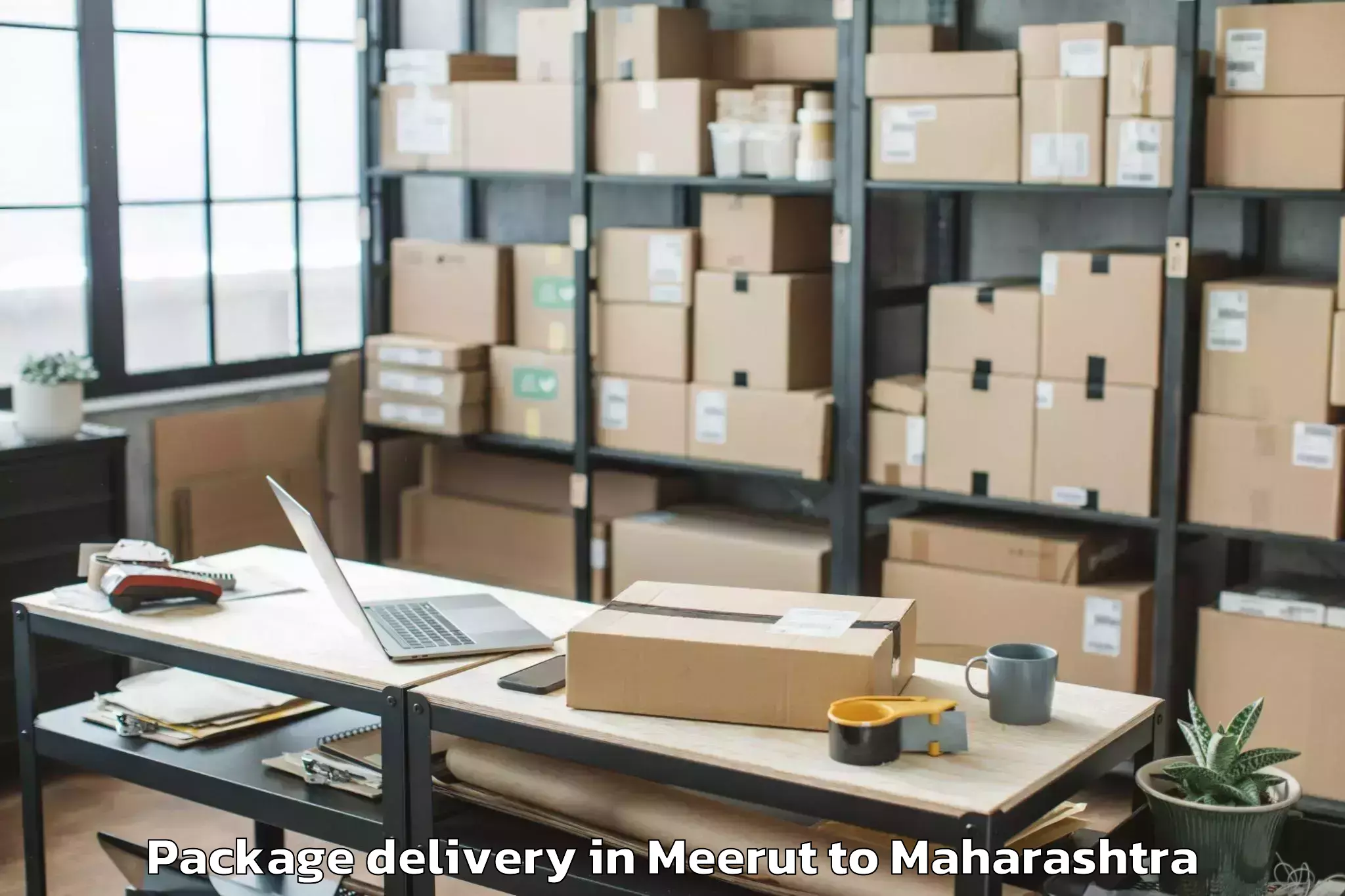 Easy Meerut to Aurangabad Airport Ixu Package Delivery Booking